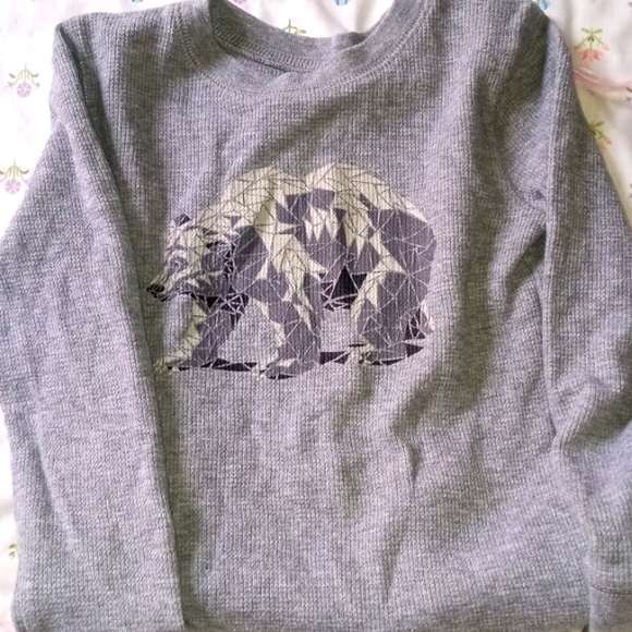 Polar bear flannel - Picture 1 of 1